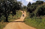 Fahrzeuge auf dem Weg ins Selous Game Reserve - Selous Kisaki Road