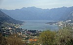Blick auf die Boka Kotorska (Bucht von Kotor) und die Stadt Kotor - Lovcen-Gebirge