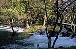 Fluß Krka oberhalb der Skradinski buk (Skradin-Wasserfälle): Holzsteg - Nationalpark Krka
