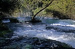 Fluß Krka oberhalb der Skradinski buk (Skradin-Wasserfälle): Kaskaden - Nationalpark Krka